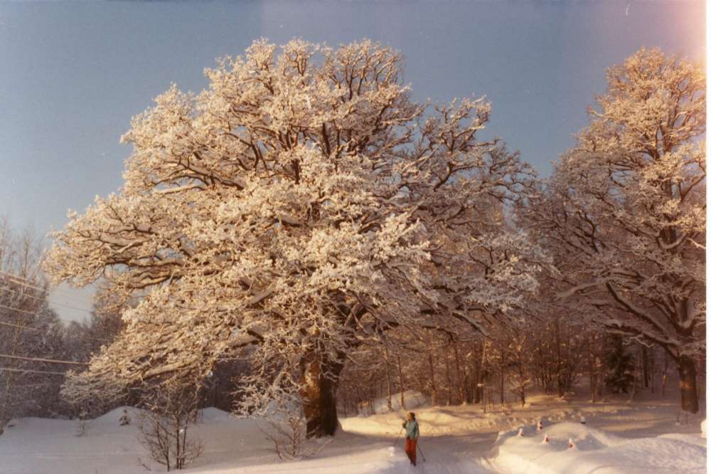 eken-vinter.JPG